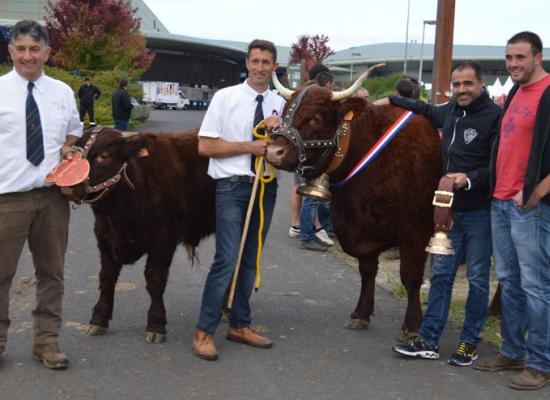  HOSSIE championne femelle à la sortie du zenith