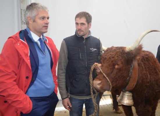 Laurent Wauquiez dans les allées Salers, reçu par Gaëtan FEREROL