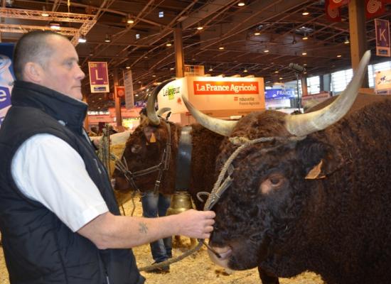 Première sortie sur le ring et présentation toutes races