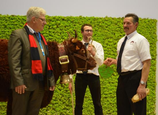 1er prix vaches de 3 ans - IVRESSE du GAEC DAYRAL HERVE et MICHEL (15)