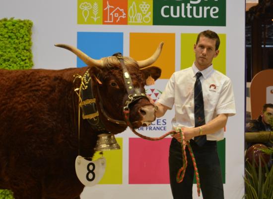 1er prix vaches de 4 ans - HEUREUSE - GAEC DUFFAYET (15)