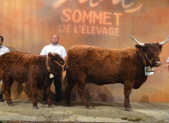 sommet de l'élevage 2014