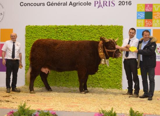 Prix remis par Monsieur FABRE Vice Président du Conseil Départemental du Cantal