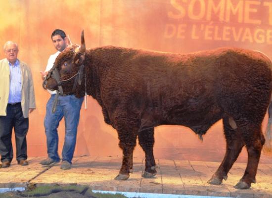 sommet de l'élevage 2014