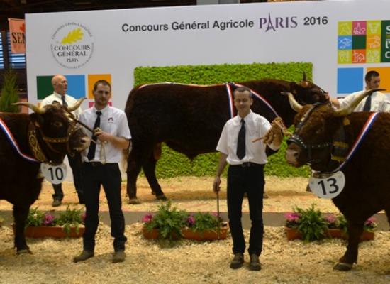 Les champions du concours