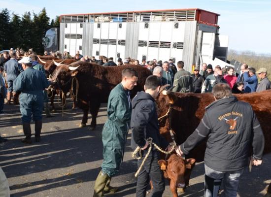 chargement salon de l'agriculture 2017