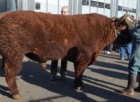 chargement salon de l'agriculture 2017