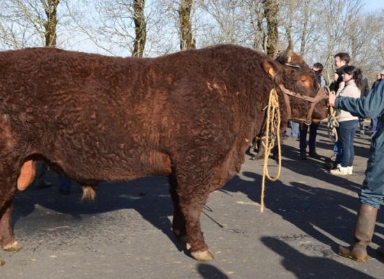 chargement salon de l'agriculture 2017