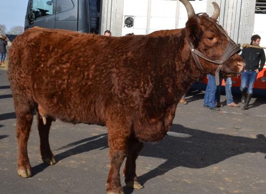 chargement salon de l'agriculture 2017