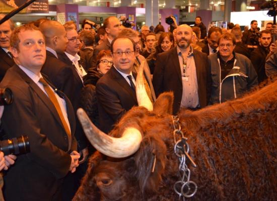 visite de françois hollande avant l'ouverture du salon samedi 25 février