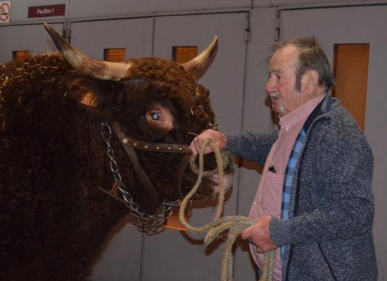 arrivée des animaux au salon 