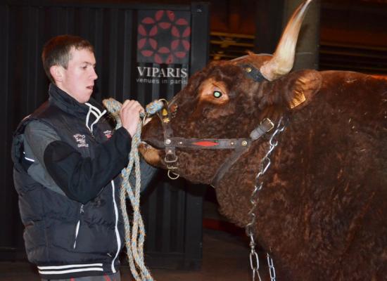 arrivée des animaux au salon 