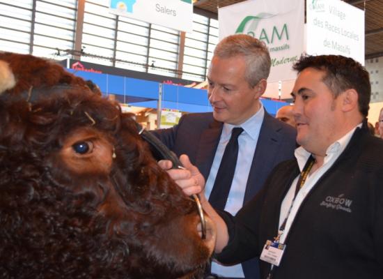 Bruno LE MAIRE à la rencontre des éleveurs salers