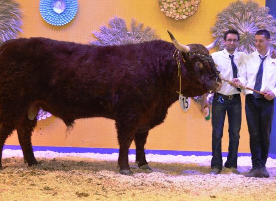 Prix du meilleur index mâle - JANNU - GAEC FOURTET YVES ET CIE (19)