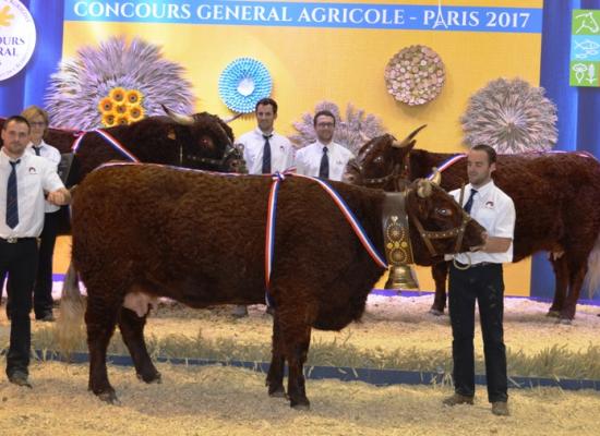 Les champions du concours