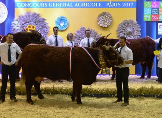 Les champions du concours