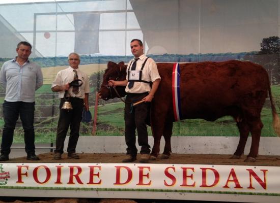 1er prix femelles de + de 4 ans non suitées - GALICE - SCEA DU BASLIEU (55). GALICE obtient aussi le prix d'honneur femelle adulte et le fameux prix du meilleur animal du concours