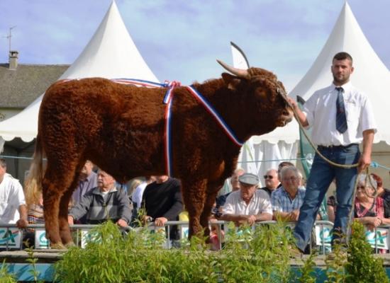 PRIX DU SUPER BOURRET