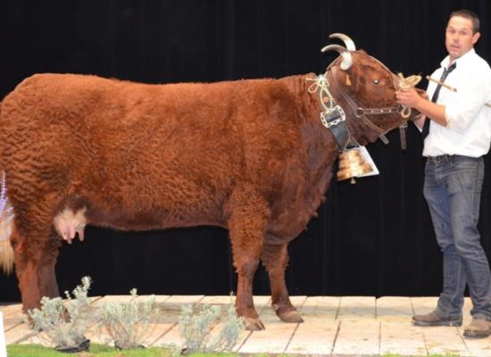 1er prix de section du rameau laitier - GRENADE - EARL FEREROL ARNAUD