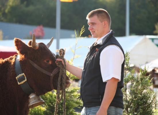 concours national salers 2014