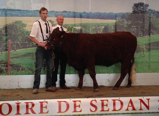 1er prix femelles de 1 à 2 ans - JUPE - EARL BULLEUX (80)