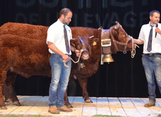 Prix du meilleur index femelle - GRACIEUSE - GAEC FOURTET DAVID - IVMAT 110 - ISU 117