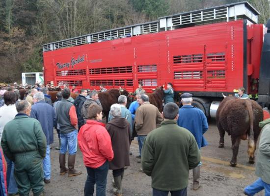 chargement animaux salon agriculture 2014