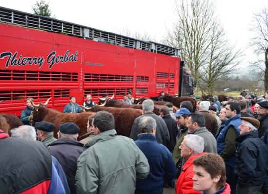 chargement animaux salon agriculture 2014