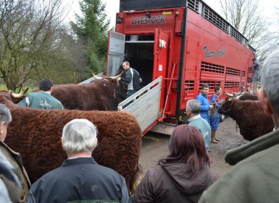 chargement animaux salon agriculture 2014