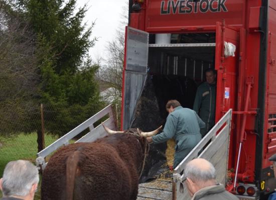 chargement animaux salon agriculture 2014