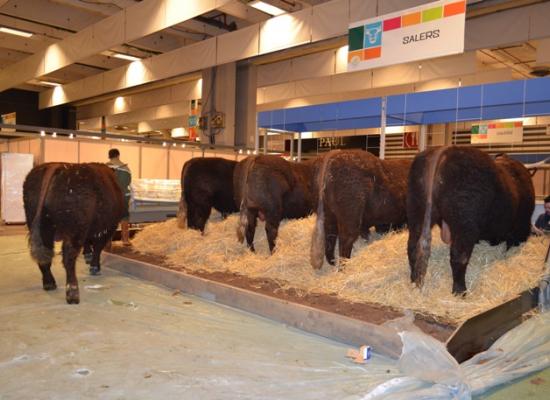 salon agriculture 2014