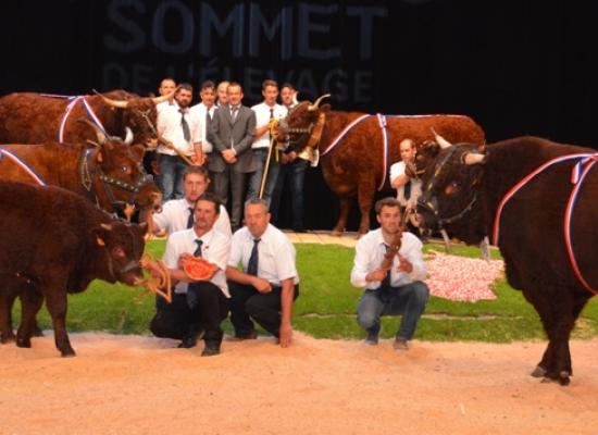 Les champions du concours