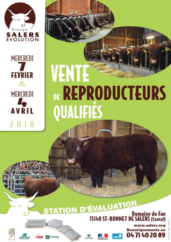 Vente de reproducteurs Qualifiés