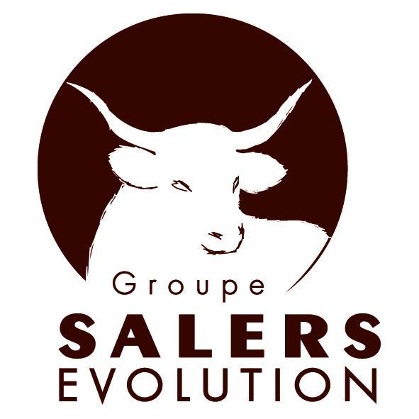 Logo Groupe Salers Evolution