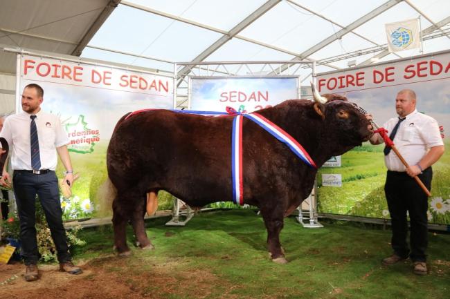 Nicky Meilleur animal du concours