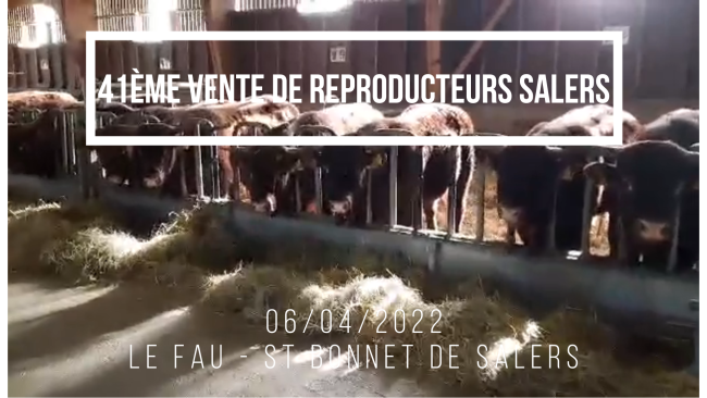 41ème Vente de reproducteurs Salers - Bande 2 - 06/04/2022