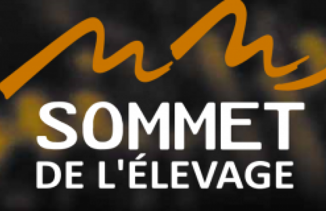 Logo Sommet