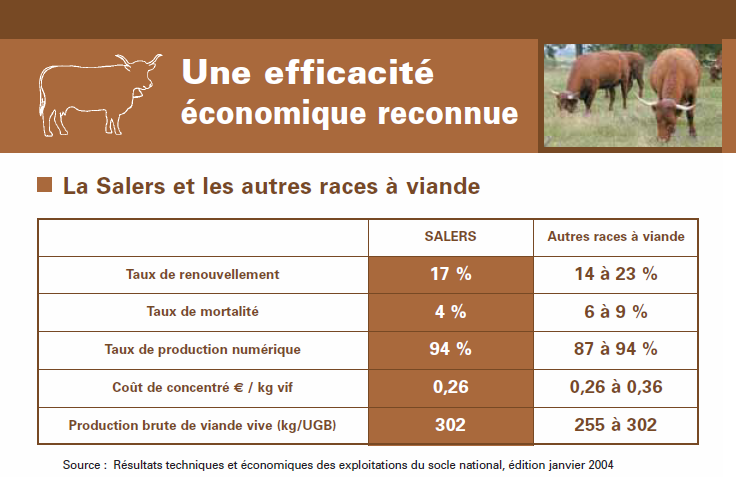 Efficacite economique