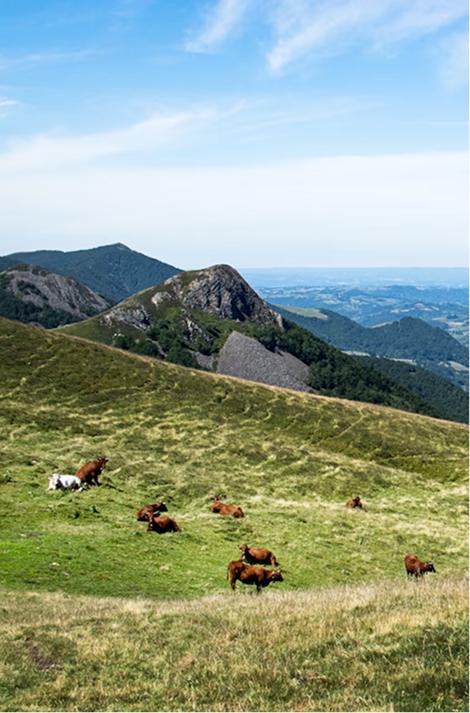 Gestion de la variabilité génétique