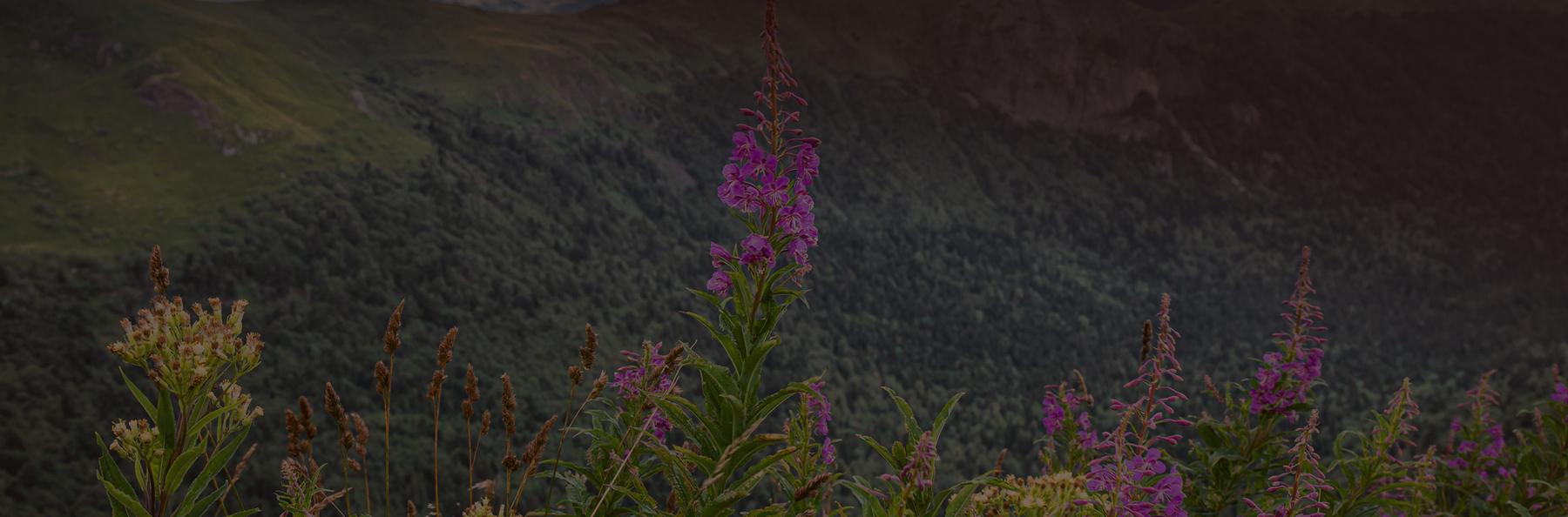 Groupe salers evolution