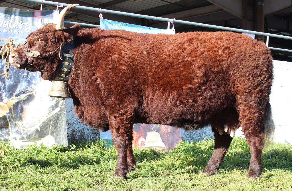 Commission de sélection